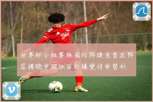 世界杯小组赛韩国对阵捷克首发阵容揭晓中超独苗朴镇燮待命替补