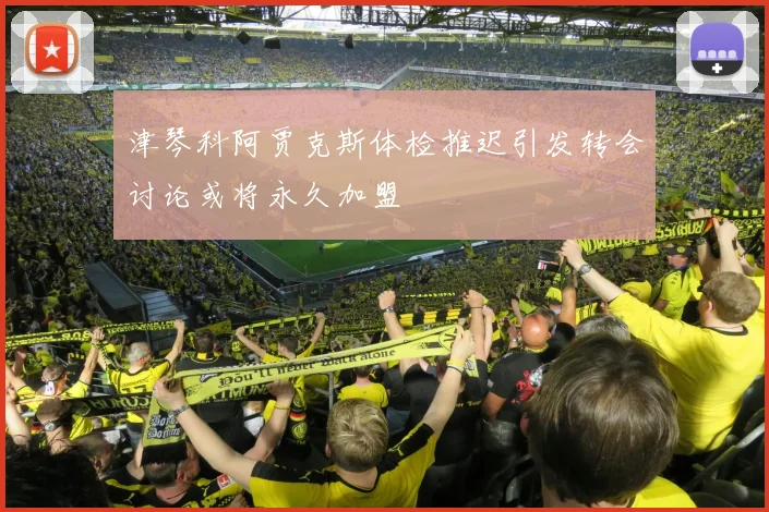 津琴科阿贾克斯体检推迟引发转会讨论或将永久加盟