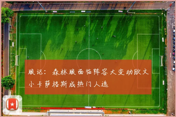 狼记：森林狼面临阵容大变动欧文小卡萨格斯成热门人选